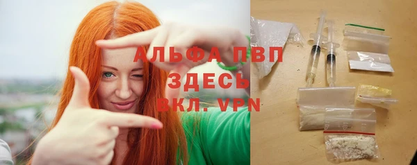 индика Семикаракорск
