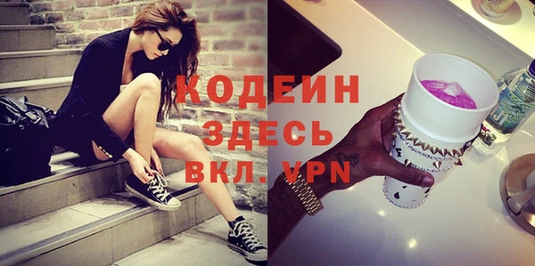 индика Семикаракорск