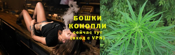трава Слюдянка