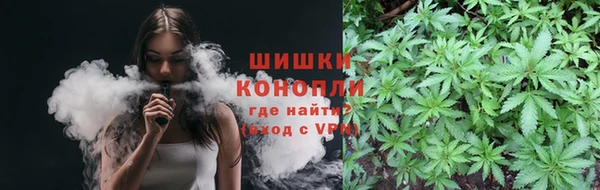МДПВ Семёнов