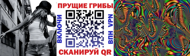 Купить закладки  Сковородино  Псилоцибиновые грибы GOLDEN TEACHER 